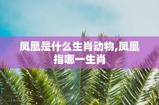 凤凰是什么生肖动物,凤凰指哪一生肖