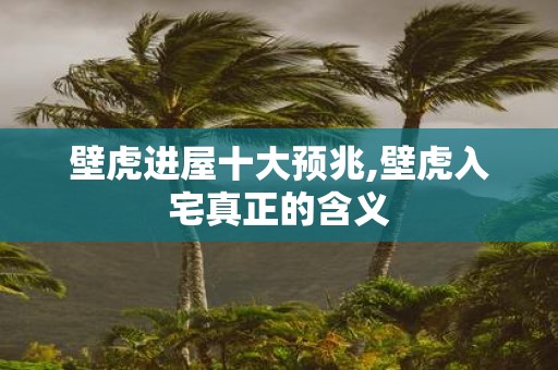 壁虎进屋十大预兆,壁虎入宅真正的含义