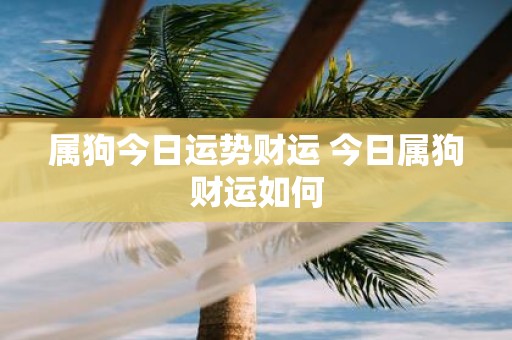 属狗今日运势财运 今日属狗财运如何