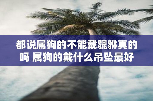 都说属狗的不能戴貔貅真的吗 属狗的戴什么吊坠最好