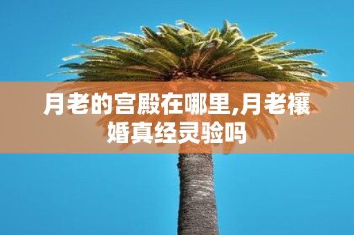 月老的宫殿在哪里,月老禳婚真经灵验吗