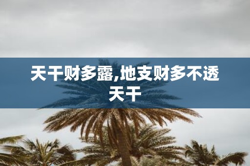 天干财多露,地支财多不透天干