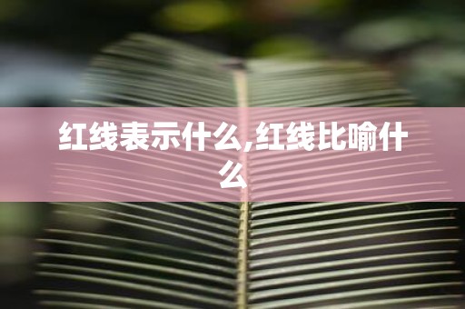 红线表示什么,红线比喻什么
