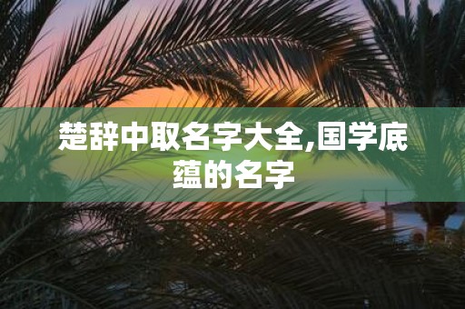 楚辞中取名字大全,国学底蕴的名字