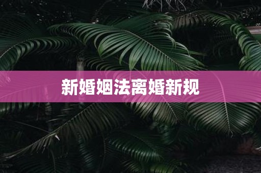 新婚姻法离婚新规