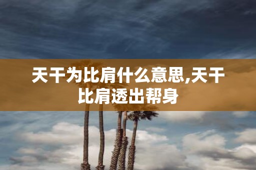 天干为比肩什么意思,天干比肩透出帮身