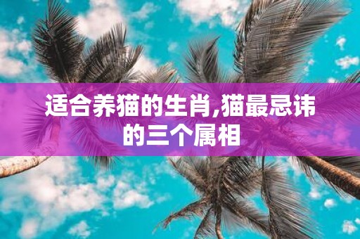 适合养猫的生肖,猫最忌讳的三个属相
