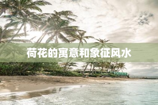 荷花的寓意和象征风水