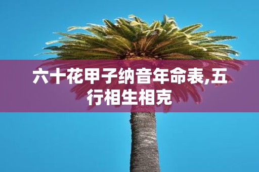 六十花甲子纳音年命表,五行相生相克