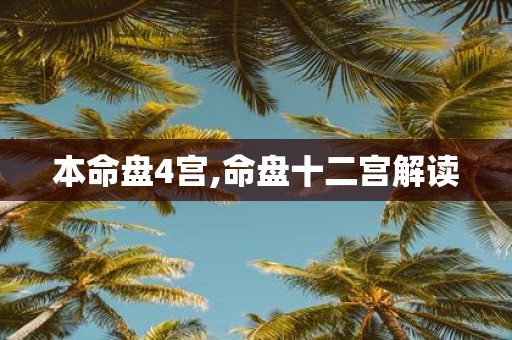 本命盘4宫,命盘十二宫解读