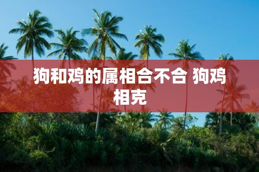 狗和鸡的属相合不合 狗鸡相克