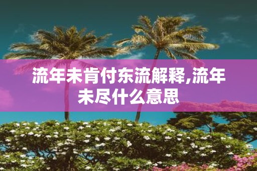 流年未肯付东流解释,流年未尽什么意思