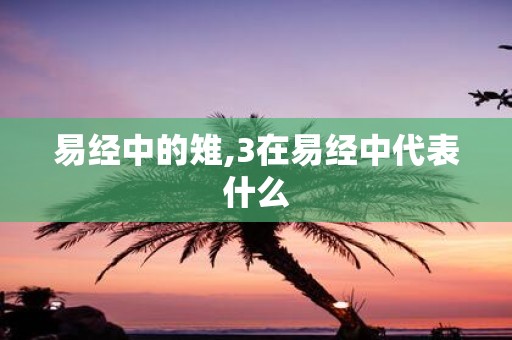 易经中的雉,3在易经中代表什么