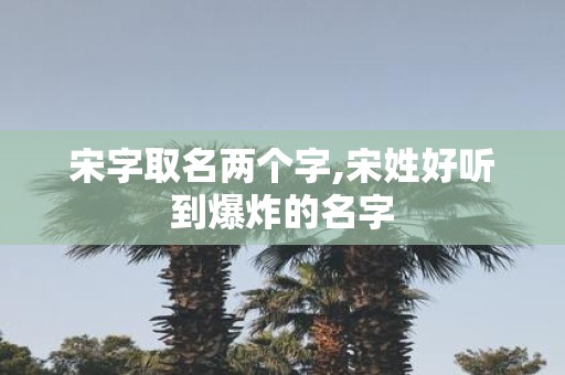 宋字取名两个字,宋姓好听到爆炸的名字
