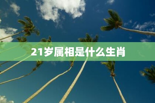 21岁属相是什么生肖