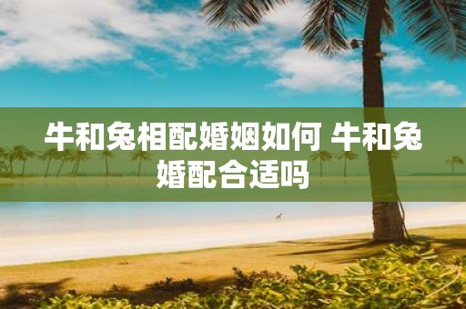 牛和兔相配婚姻如何 牛和兔婚配合适吗