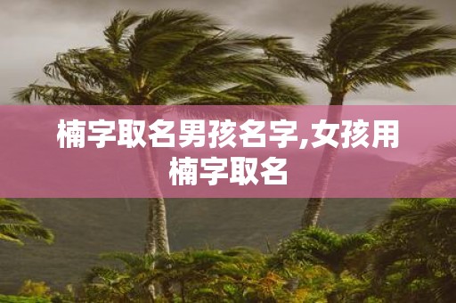楠字取名男孩名字,女孩用楠字取名