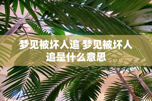 梦见被坏人追 梦见被坏人追是什么意思