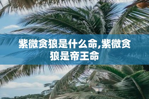 紫微贪狼是什么命,紫微贪狼是帝王命