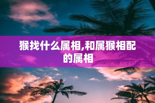 猴找什么属相,和属猴相配的属相
