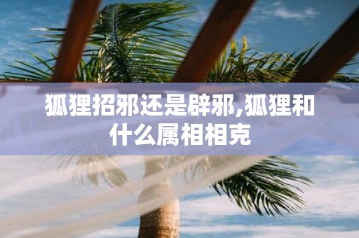 狐狸招邪还是辟邪,狐狸和什么属相相克
