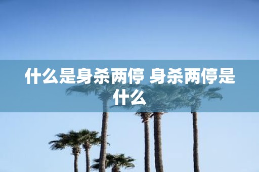 什么是身杀两停 身杀两停是什么