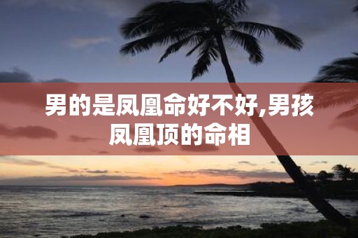 男的是凤凰命好不好,男孩凤凰顶的命相