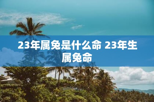 23年属兔是什么命 23年生属兔命