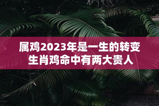 属鸡2025年是一生的转变 生肖鸡命中有两大贵人