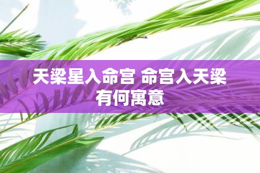 天梁星入命宫 命宫入天梁有何寓意