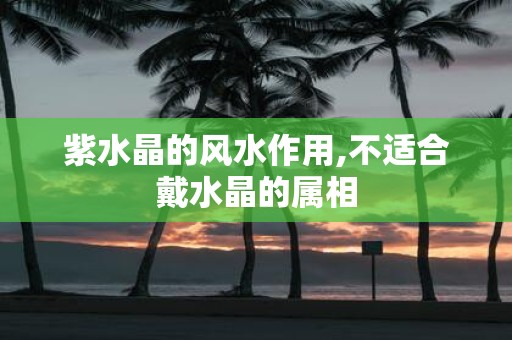 紫水晶的风水作用,不适合戴水晶的属相