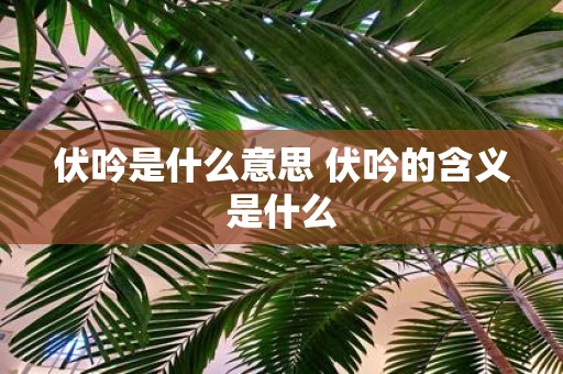 伏吟是什么意思 伏吟的含义是什么