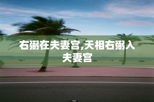 右弼在夫妻宫,天相右弼入夫妻宫