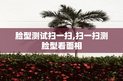 脸型测试扫一扫,扫一扫测脸型看面相