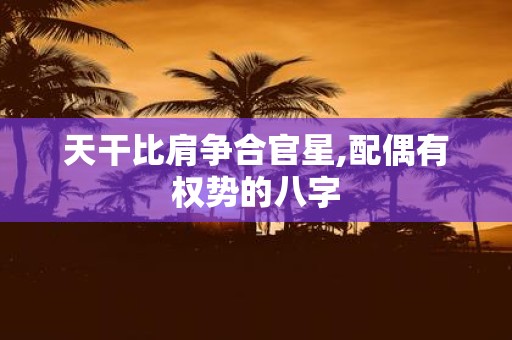 天干比肩争合官星,配偶有权势的八字