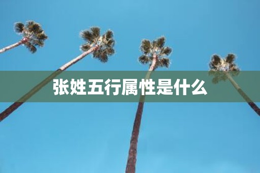 张姓五行属性是什么