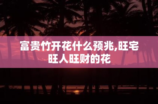 富贵竹开花什么预兆,旺宅旺人旺财的花