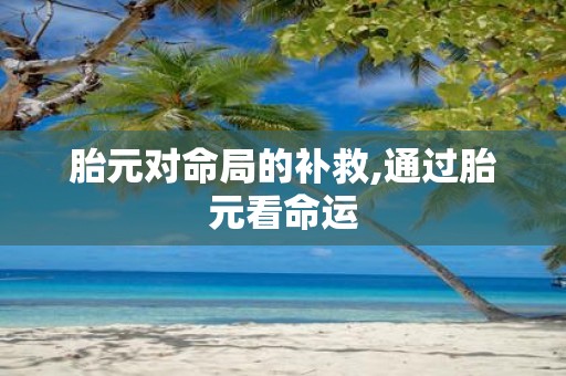 胎元对命局的补救,通过胎元看命运