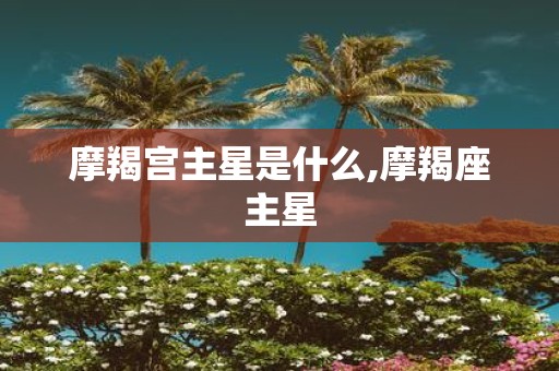 摩羯宫主星是什么,摩羯座主星