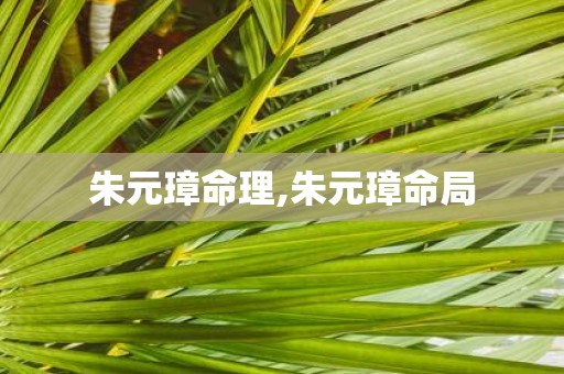 朱元璋命理,朱元璋命局