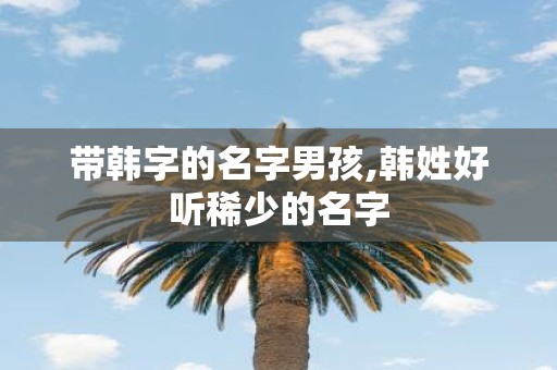 带韩字的名字男孩,韩姓好听稀少的名字