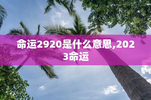 命运2920是什么意思,2025命运