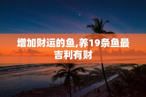 增加财运的鱼,养19条鱼最吉利有财