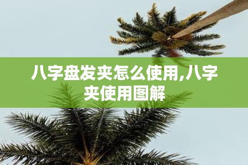 八字盘发夹怎么使用,八字夹使用图解