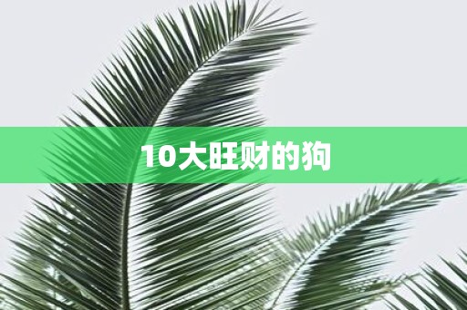 10大旺财的狗