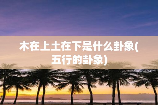 木在上土在下是什么卦象(五行的卦象)