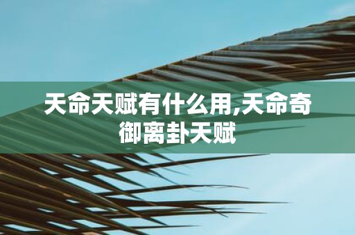 天命天赋有什么用,天命奇御离卦天赋