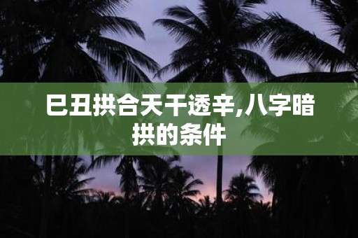 巳丑拱合天干透辛,八字暗拱的条件