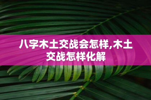 八字木土交战会怎样,木土交战怎样化解