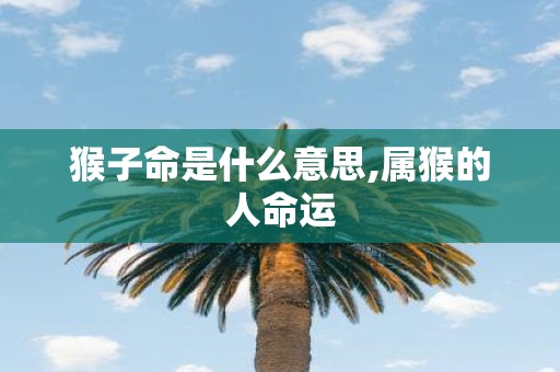 猴子命是什么意思,属猴的人命运